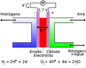 Pila de Combustible